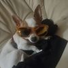 aleda_rigotti